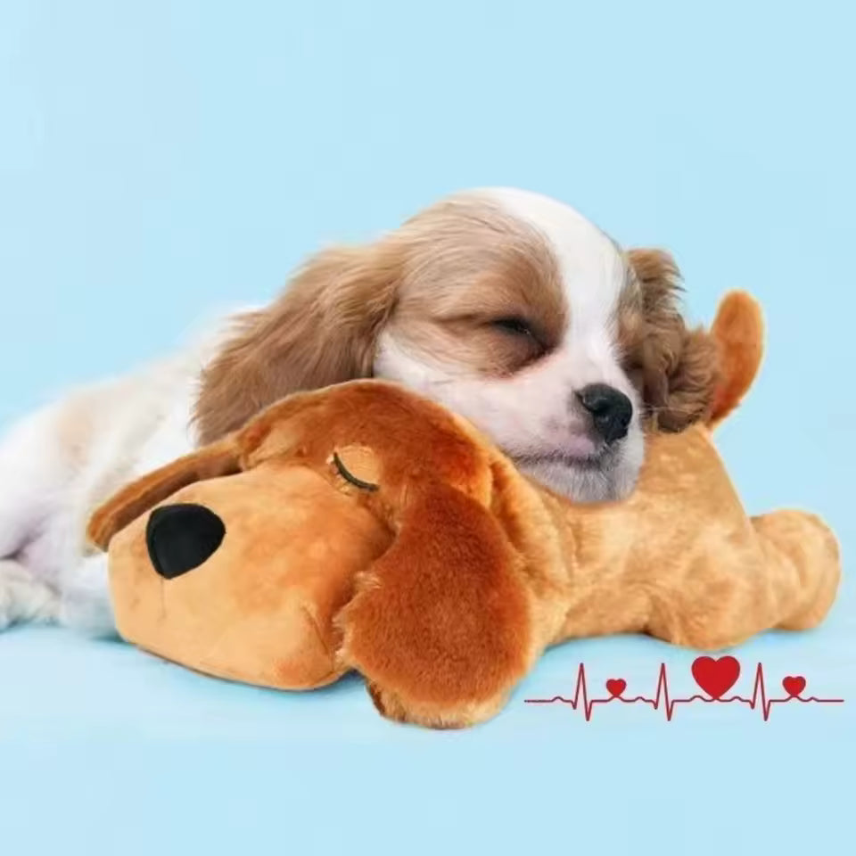 Snuggle Beat